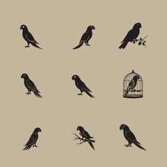 Group parrot vector design