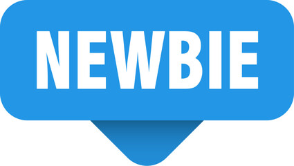 newbie sticker. newbie sign on transparent background