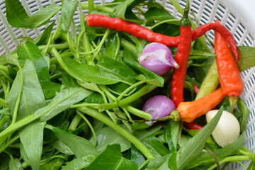 fresh vegetables on the table