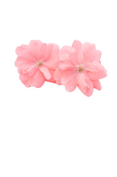 due fiori di rosa comune, rosa gallica di colore rosa affiancati su sfondo bianco o trasparente