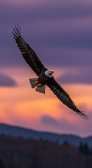 Eagle in Flight Against Colorful Sky