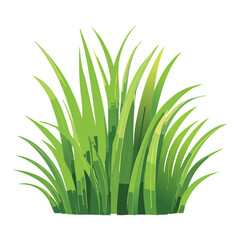 Dense Green Grass Cluster