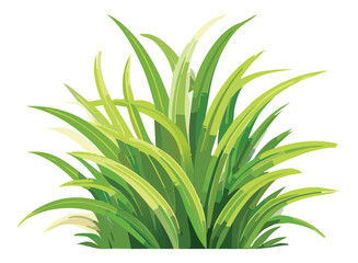 Wider grass bush illustration