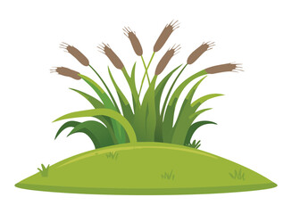 Wild wetland plant with brown spikes