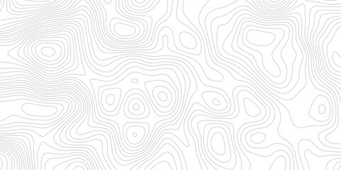 Fototapeta premium Topographical Landscape Design with Geometric Lines and Grids Mapping Technology, Sea Maps, and Area Spaces in a Modern Pattern 