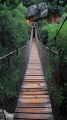 Suspension bridge surrounded by lush greenery connects two cliffs in a serene nature setting