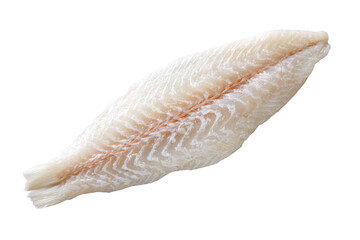 Fresh White Fish Fillets on isolated Background for Culinary Use