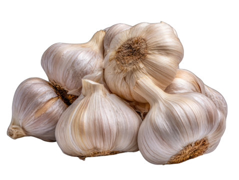 Close-up of a bunch of garlic bulbs.  Clusters of pale cream-colored bulbs, tightly packed together, with visible papery sheaths and brown tops