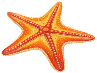 starfish isolated on white generative ai
