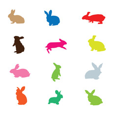 Vector colour rabbit