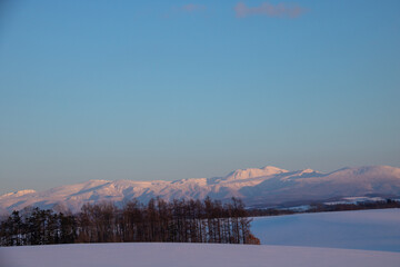 夕日を反射する雪山と青空
