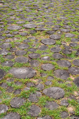 Natural Road Surface Made of Wooden Circles &mdash; Close-Up Texture Background with Copy Space