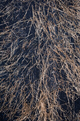 Black Tar-Coated Bottom of Fishing Boat with Stuck Dry Grass — Close-Up Texture Shot with Copy Space
