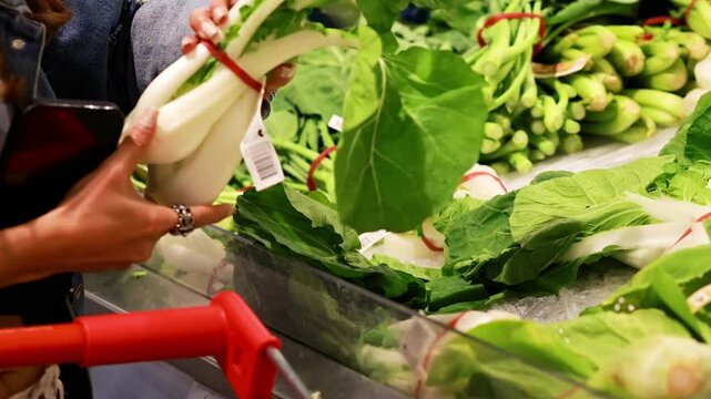 Hand Selecting Bok Choy in Grocery Store Aisle