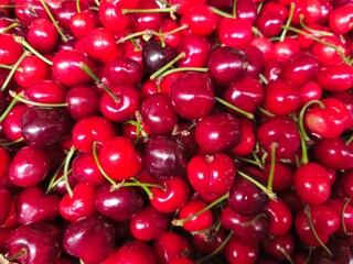 Beautiful cherries in one bunch