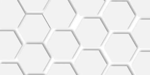hexagon white and grey mosic Concept geometry pattern with line. geometric degrade creativity motif for header, poster, background.