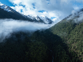 Aerial view of beautiful high altitude snow capped mountain and forest landscape