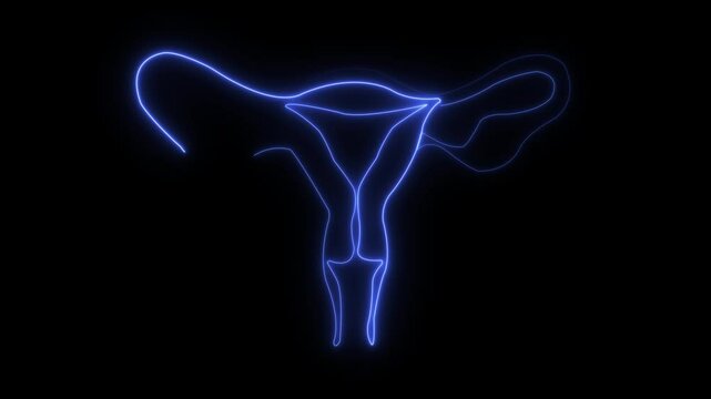 Abstract glowing of woman uterus. Ovary and cervix of womb reproductive health in simple linear style for logo and card gynecology medical clinic.