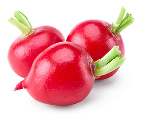 fresh radish isolated on white background. clipping path