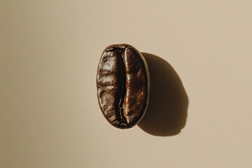 Naklejka premium Single coffee bean highlighted by a soft light source that casts a distinct shadow, creating a warm and inviting visual.