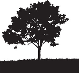 tree silhouette vector