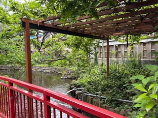 七渡神社の境内
