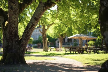 Obraz premium sunny park scene with vibrant green trees and a soft bokeh effect, creating a cheerful summer vibe, Generative AI