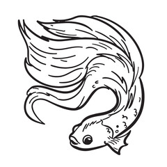 pretty betta fish vector illustration. Simple drawing