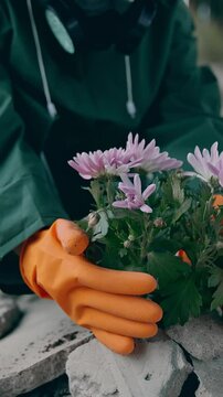 Human in hazmat planting in urban city. Farming in apocalypsis. Vertical video