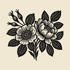 Rosehip flowers and leaves engraving style vector illustration


