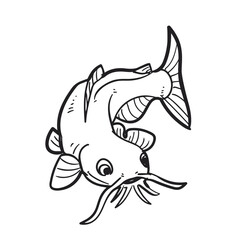 the catfish vector illustration. Drawing. 