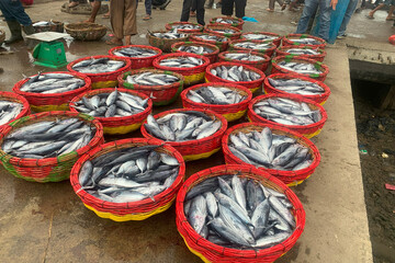 FISH TRADITIONAL FOOD