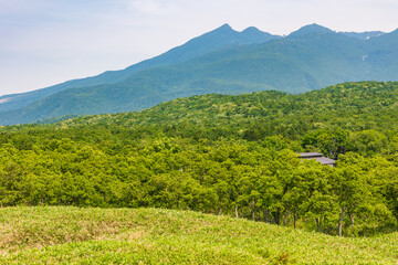 Naklejka premium 日本の風景・夏 世界遺産・北海道知床 知床五湖 