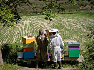 Giovani apicoltori al lavoro in primavera
