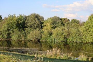 river in the village meadow