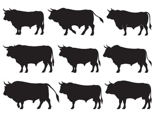 OX SILHOUETTE WHITE BACKGROUND
