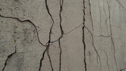 Obraz premium High Resolution Natural Texture Background with Subtle Details