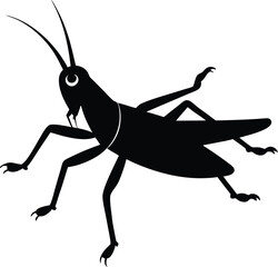 silhouette of a grasshopper