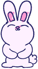 Rabbit Chalk Drawing