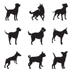 An illustration and silhouette of a dog's face.	