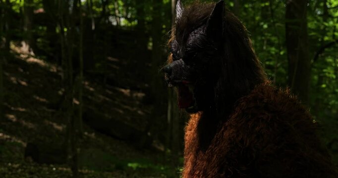 Dogman Werewolf, cryptid in the woods, howls