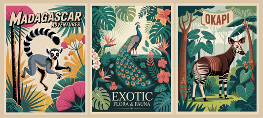 Obraz premium Set of vintage jungle posters with lemur, peacock, and okapi in lush tropical foliage. Bold retro vector wildlife art perfect for decor, travel themes, and animal lovers