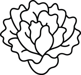 Fototapeta premium Camellia Flower Vectors 