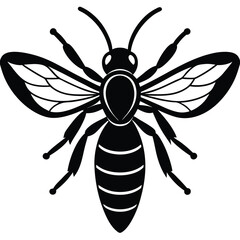 wasp vector sihouette