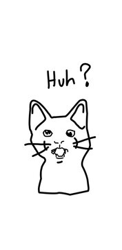 cat huh funny illustration  hand drawn meme