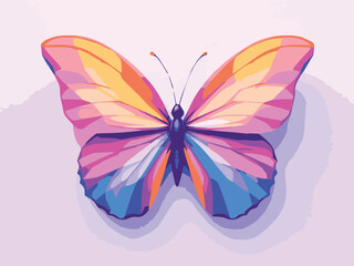 butterfly vector illustration