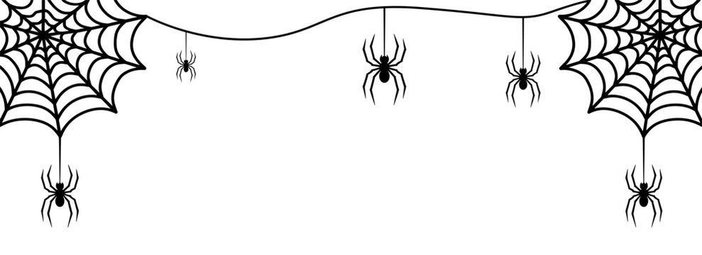 Halloween spider web border with hanging spiders. Halloween banner background