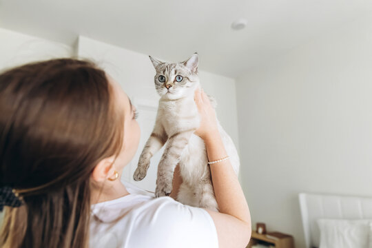 Young woman lifting her cat in cozy bedroom, holding it gently near face with love.