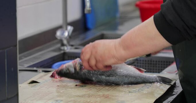 Kitchen worker processes fish and places it in water
