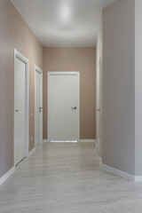 Modern minimalist hallway in contemporary apartment